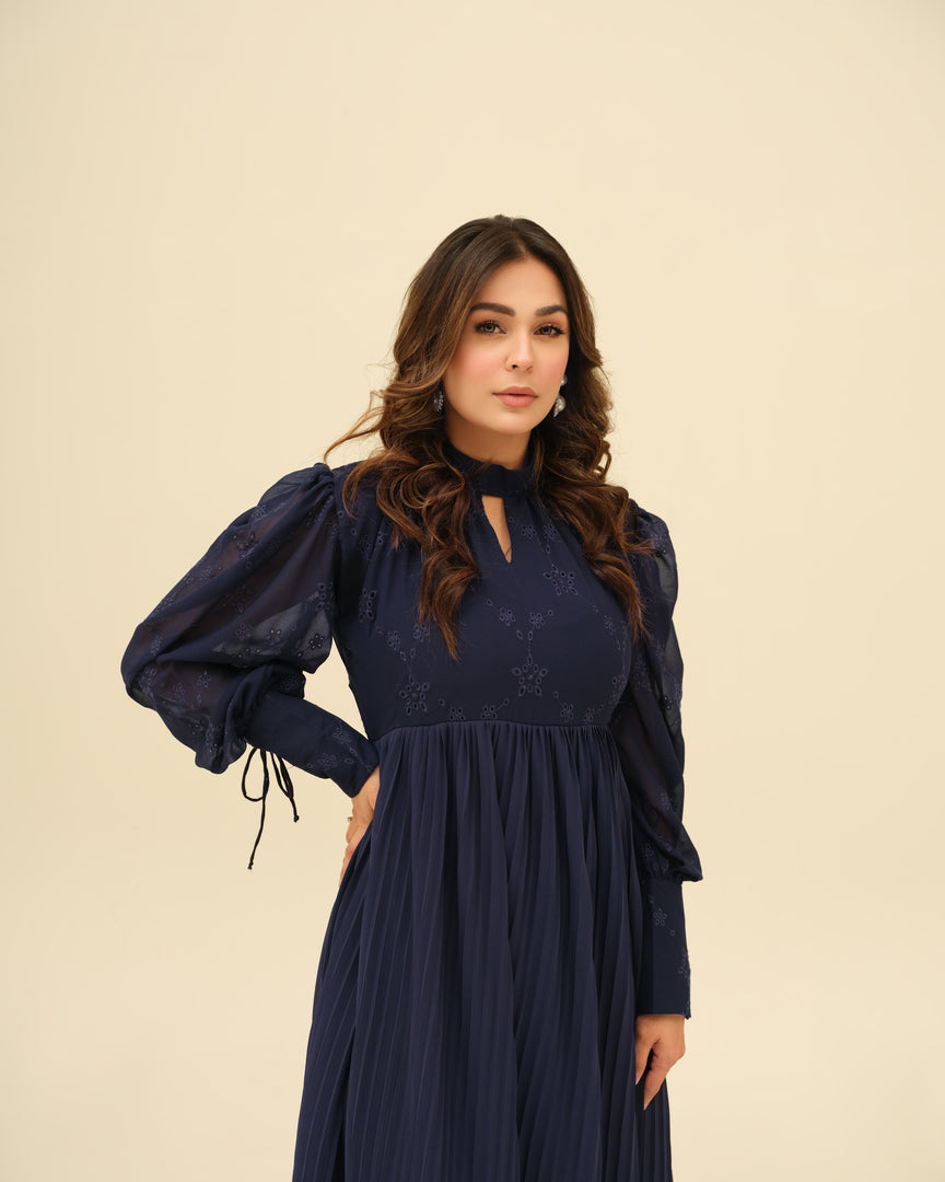 Sapphire- Embroidered Pleated Chiffon Dress