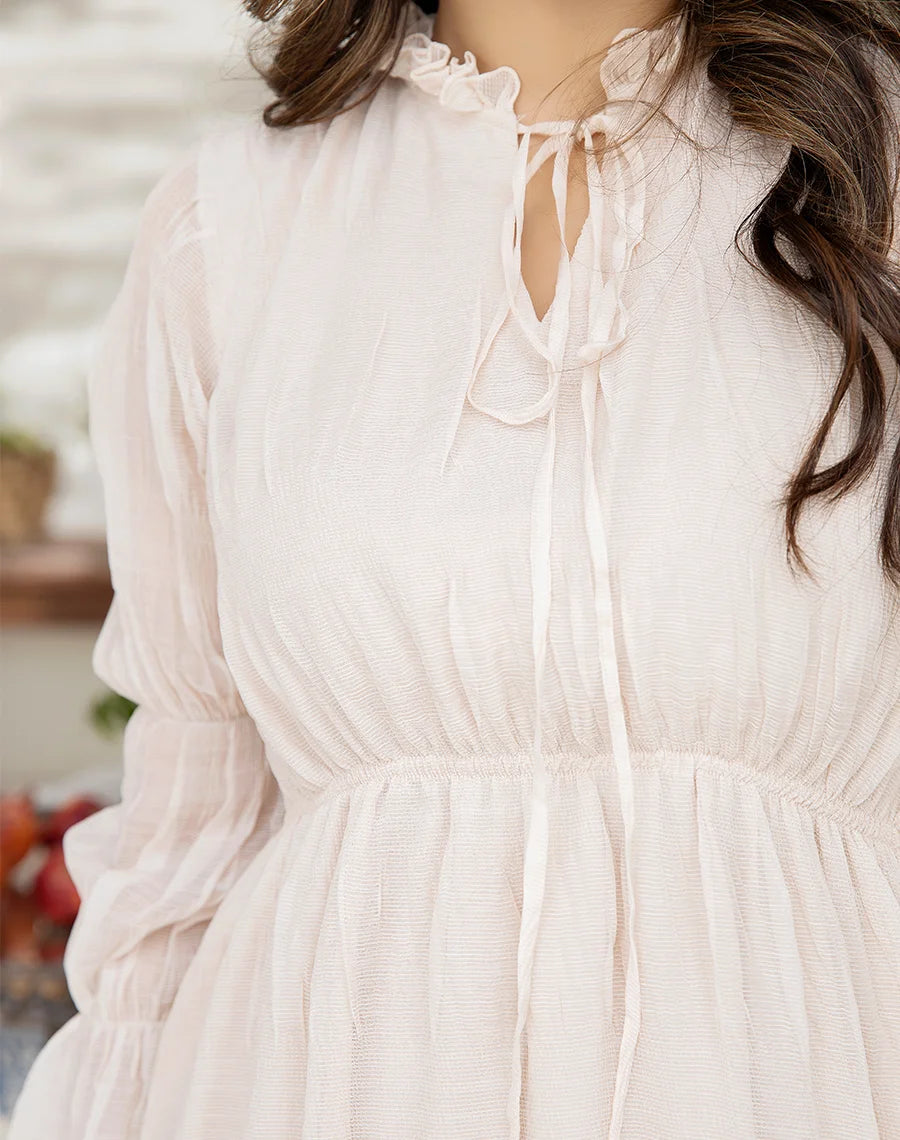 chiffon long dress with sleeves